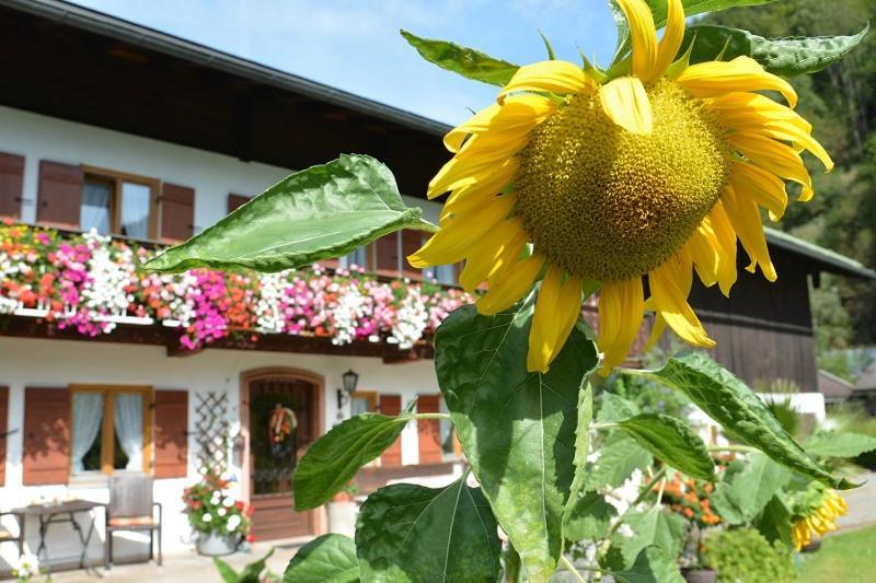 Hotel Haus Jagerer Ramsau bei Berchtesgaden Exterior foto